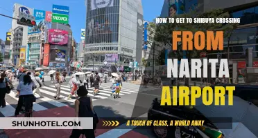 Travel Guide: Narita Airport to Shibuya Crossing Made Easy