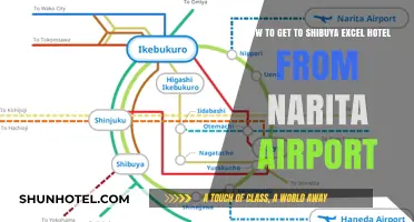 Travel Guide: Narita Airport to Shibuya Excel Hotel Route