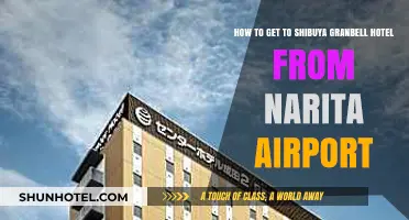 Travel Guide: Narita Airport to Shibuya Granbell Hotel Route