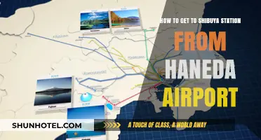 Travel Guide: Haneda Airport to Shibuya Station Made Easy