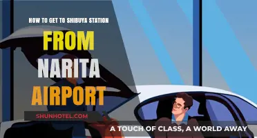 Travel Guide: Narita Airport to Shibuya Station – Easy Route Tips