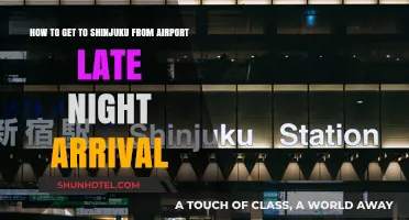 Late Night Travel Guide: Airport to Shinjuku, Tokyo Made Easy