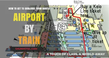 Travel Guide: Train Route from Narita Airport to Shinjuku Station