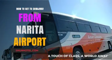 Travel Guide: Narita Airport to Shinjuku - Easy Transport Options