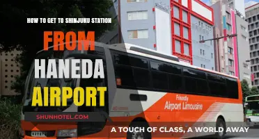 Travel Guide: Haneda Airport to Shinjuku Station Simplified Route