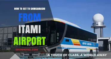Travel Guide: Itami Airport to Shinsaibashi – Easy Transport Options