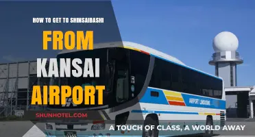 Travel Guide: Kansai Airport to Shinsaibashi - Easy Transport Options