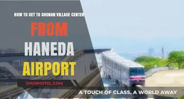 Travel Guide: Haneda Airport to Shonan Village Center Route