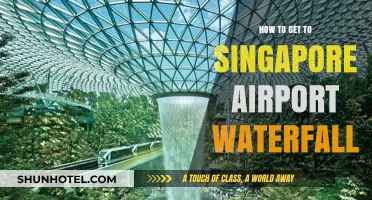 Discover the Hidden Gem: A Guide to Singapore Airport's Waterfall