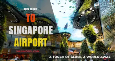 Easiest Ways to Reach Singapore Changi Airport Stress-Free