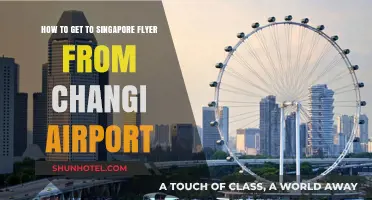 Travel Guide: Changi Airport to Singapore Flyer Quick Route Tips