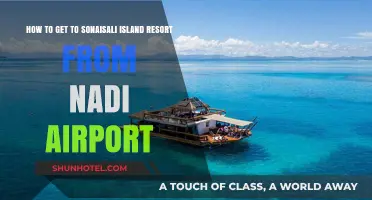Travel Guide: Nadi Airport to Sonaisali Island Resort Transfer Tips