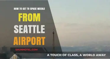 Seattle Airport to Space Needle: Quick & Easy Travel Guide