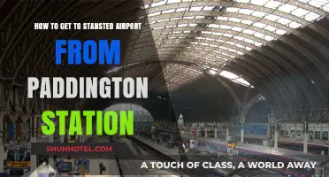 Travel Guide: Paddington to Stansted Airport – Quick & Easy Routes