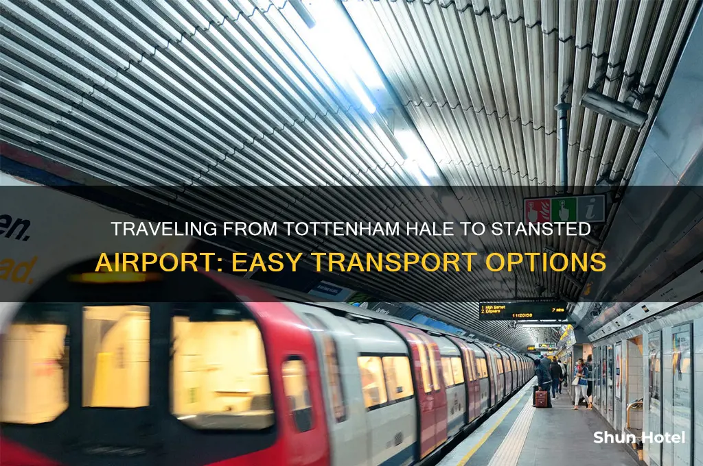 how to get to stansted airport from tottenham hale