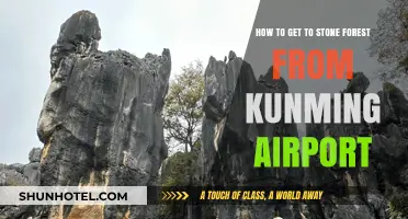 Travel Guide: Kunming Airport to Stone Forest – Easy Route Tips