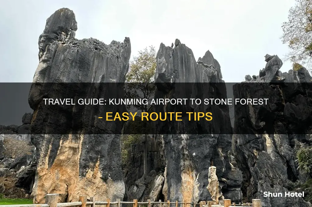 how to get to stone forest from kunming airport