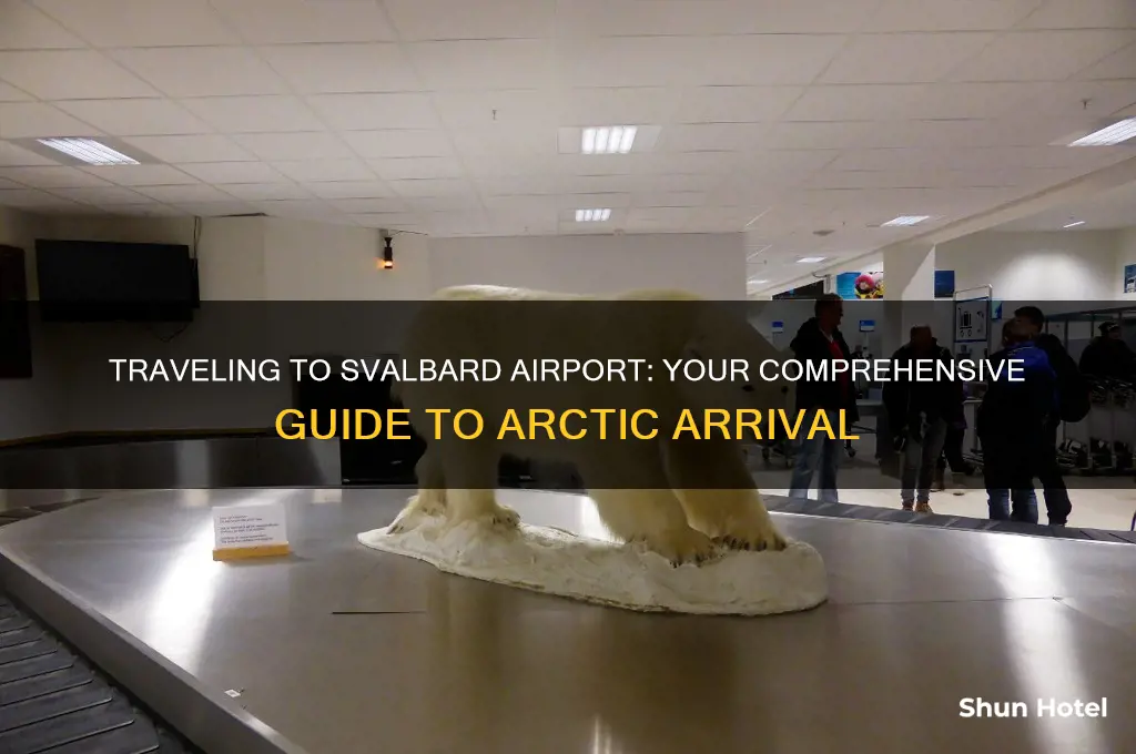 how to get to svalbard airport