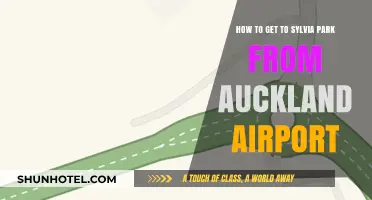 Travel Guide: Auckland Airport to Sylvia Park - Easy Route Tips