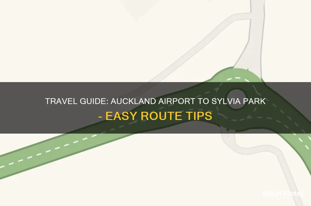 how to get to sylvia park from auckland airport