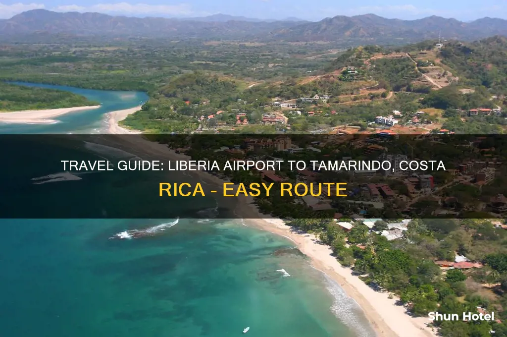 how to get to tamarindo from liberia airport