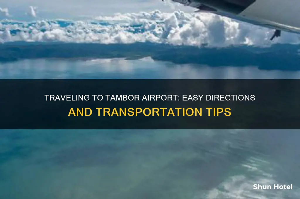how to get to tambor airport
