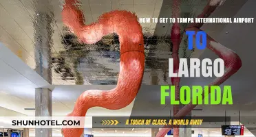 Traveling from Tampa International Airport to Largo, Florida: Easy Guide