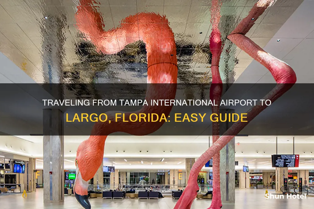 how to get to tampa international airport to largo florida