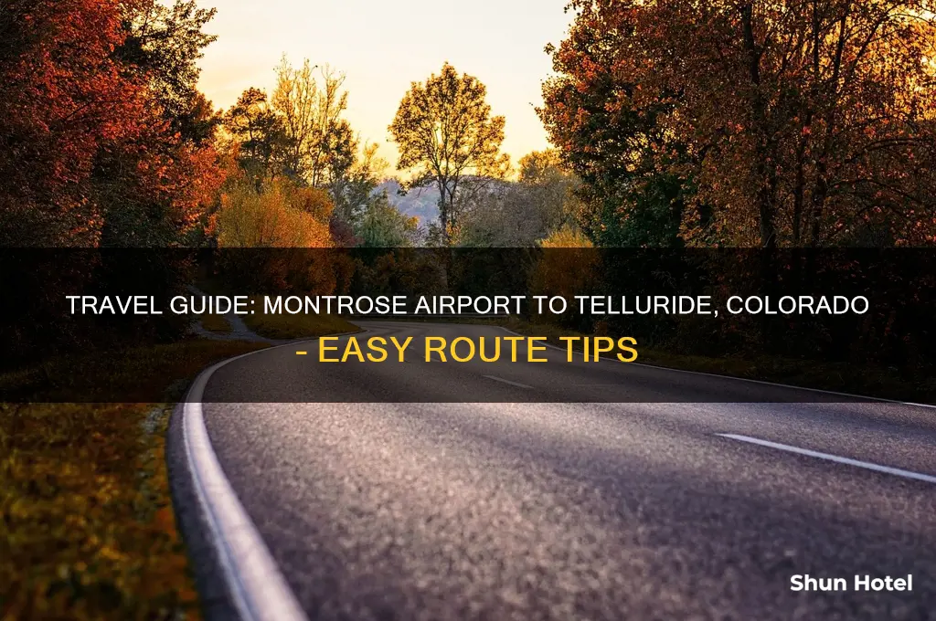 how to get to telluride from montrose airport