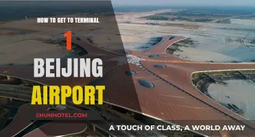 Navigating Beijing Airport: Easy Guide to Reach Terminal 1