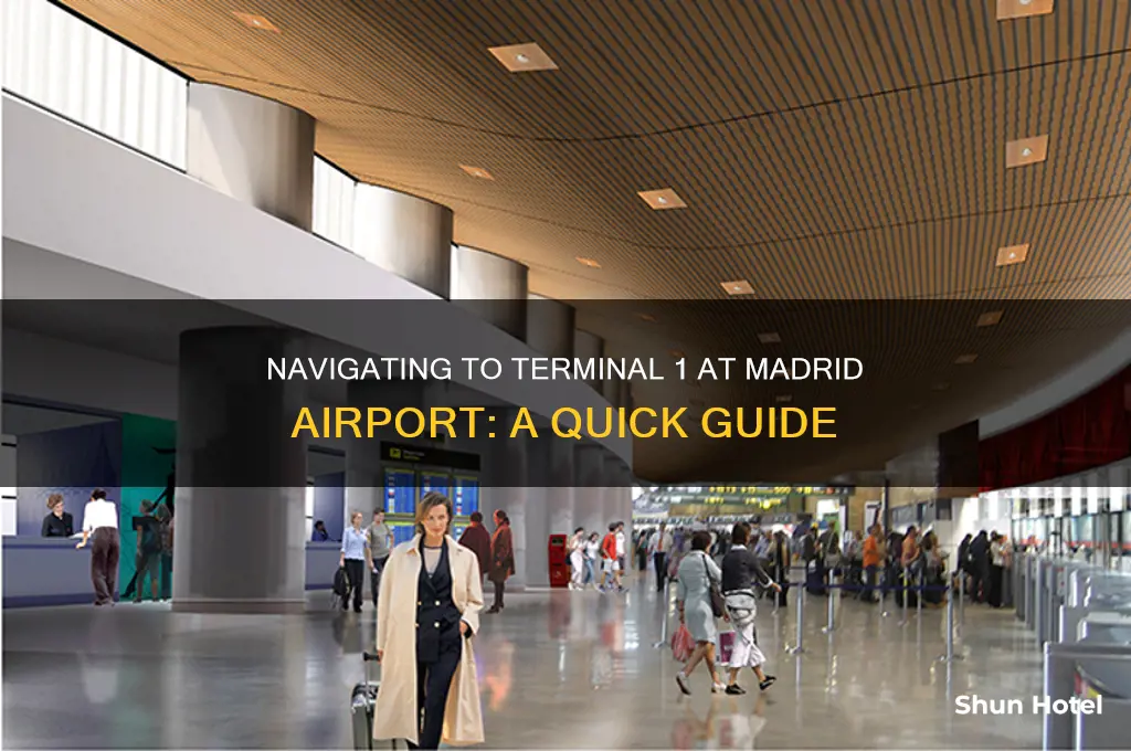 how to get to terminal 1 madrid airport
