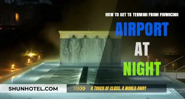Nighttime Travel Guide: Fiumicino Airport to Termini Station