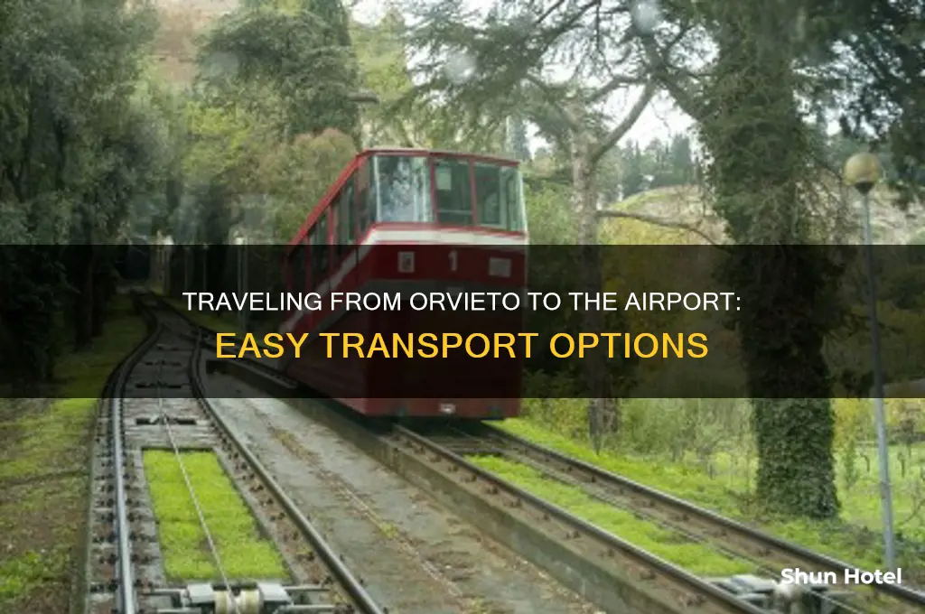 how to get to the airport from orvieto