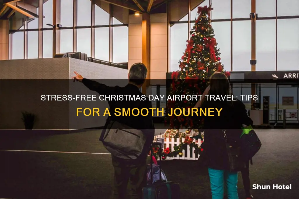 how to get to the airport on christmas day