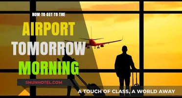 Efficient Airport Travel Tips: Smooth Morning Departure Guide for Tomorrow