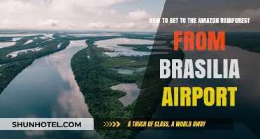 Traveling from Brasilia Airport to the Amazon Rainforest: A Comprehensive Guide