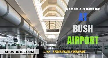Navigating Bush Airport: Quick Guide to the Arrival Area