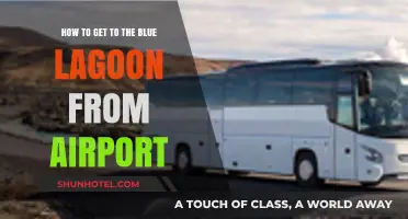 Easy Travel Guide: Blue Lagoon from Keflavík Airport