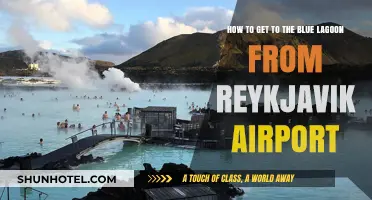 Travel Guide: Blue Lagoon from Reykjavik Airport - Easy Steps