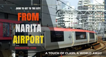 Easiest Ways to Travel from Narita Airport to Tokyo City Center