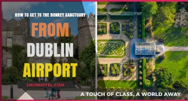 Travel Guide: Dublin Airport to Donkey Sanctuary Route Explained