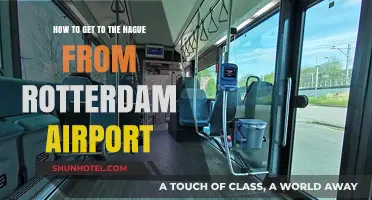 Travel Guide: Rotterdam Airport to The Hague – Easy Transport Tips