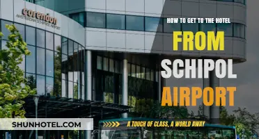 Easy Travel Guide: Reaching Your Hotel from Schiphol Airport