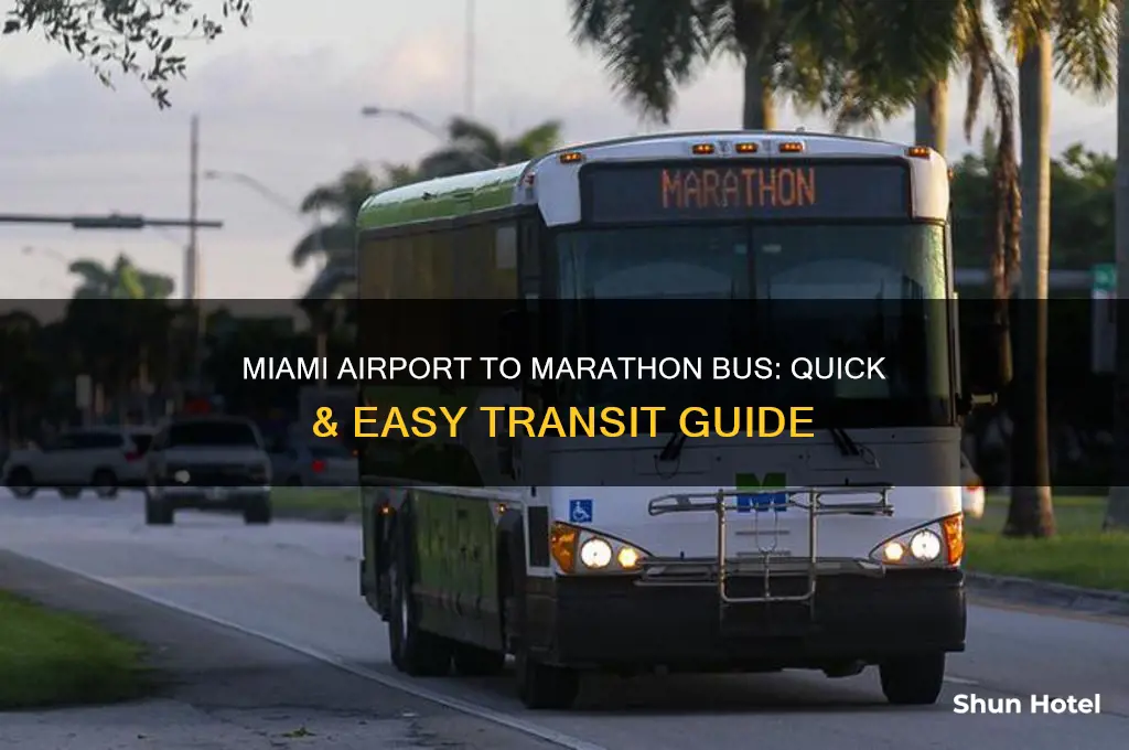 how to get to the marathon bus from miami airport