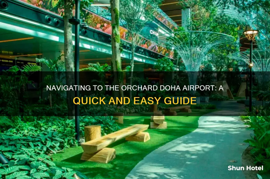 how to get to the orchard doha airport