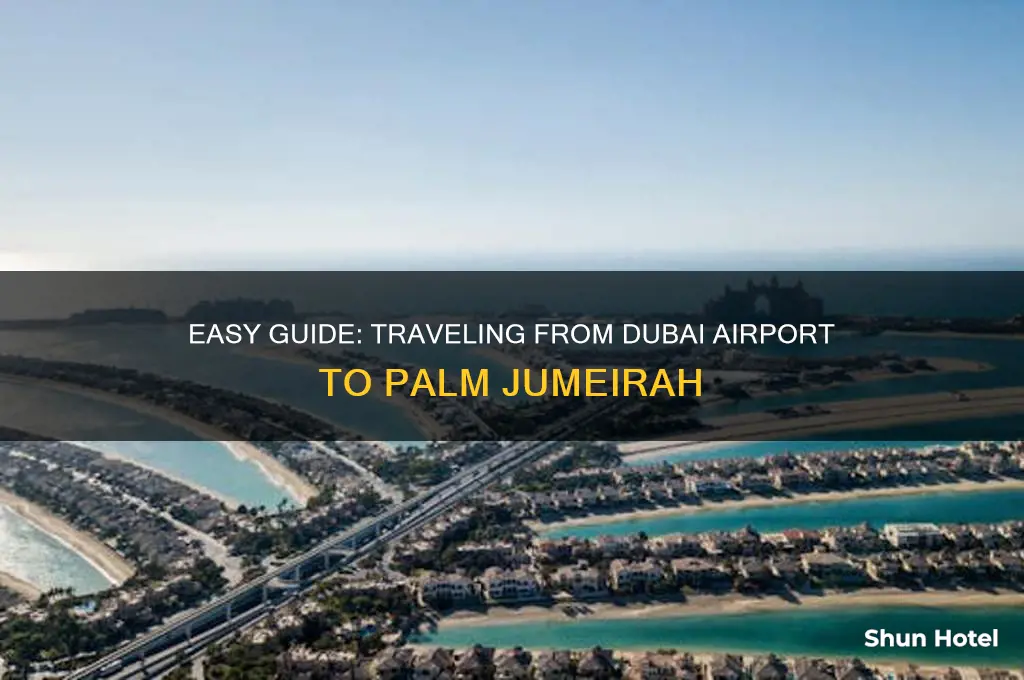 how to get to the palm from dubai airport