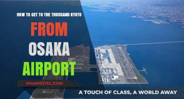 Travel Guide: Osaka Airport to Kyoto's Thousand Sights Easily