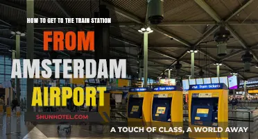 Navigating from Amsterdam Airport to the Train Station: A Quick Guide