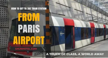 Easy Paris Airport to Train Station Transfer Guide for Travelers
