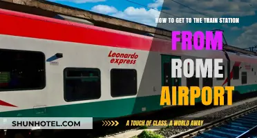 Easy Rome Airport to Train Station Transfer Guide for Travelers